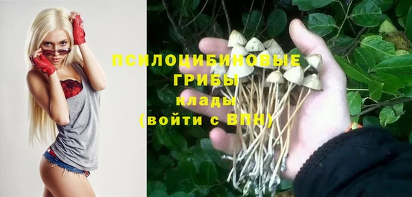 ешки Иннополис